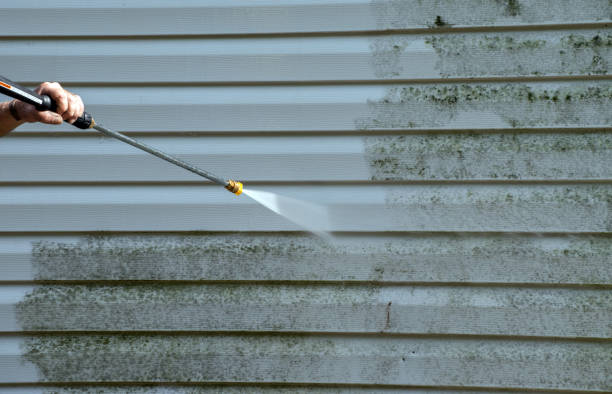 Best Roof Washing  in Brodheadsville, PA